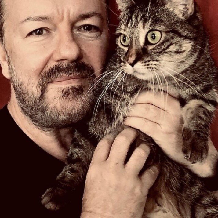 Protect_Wldlife's tweet image. 🚨 An important message from @RickyGervais 🚨

"Rescue pets wait weeks, months, even years. So visit your local animal shelter and take home your new best friend ~ #Adopt."

#AdoptDontShop 🐾

Ricky pictured with his beloved rescue @PickliciousF 😻 ❤️.