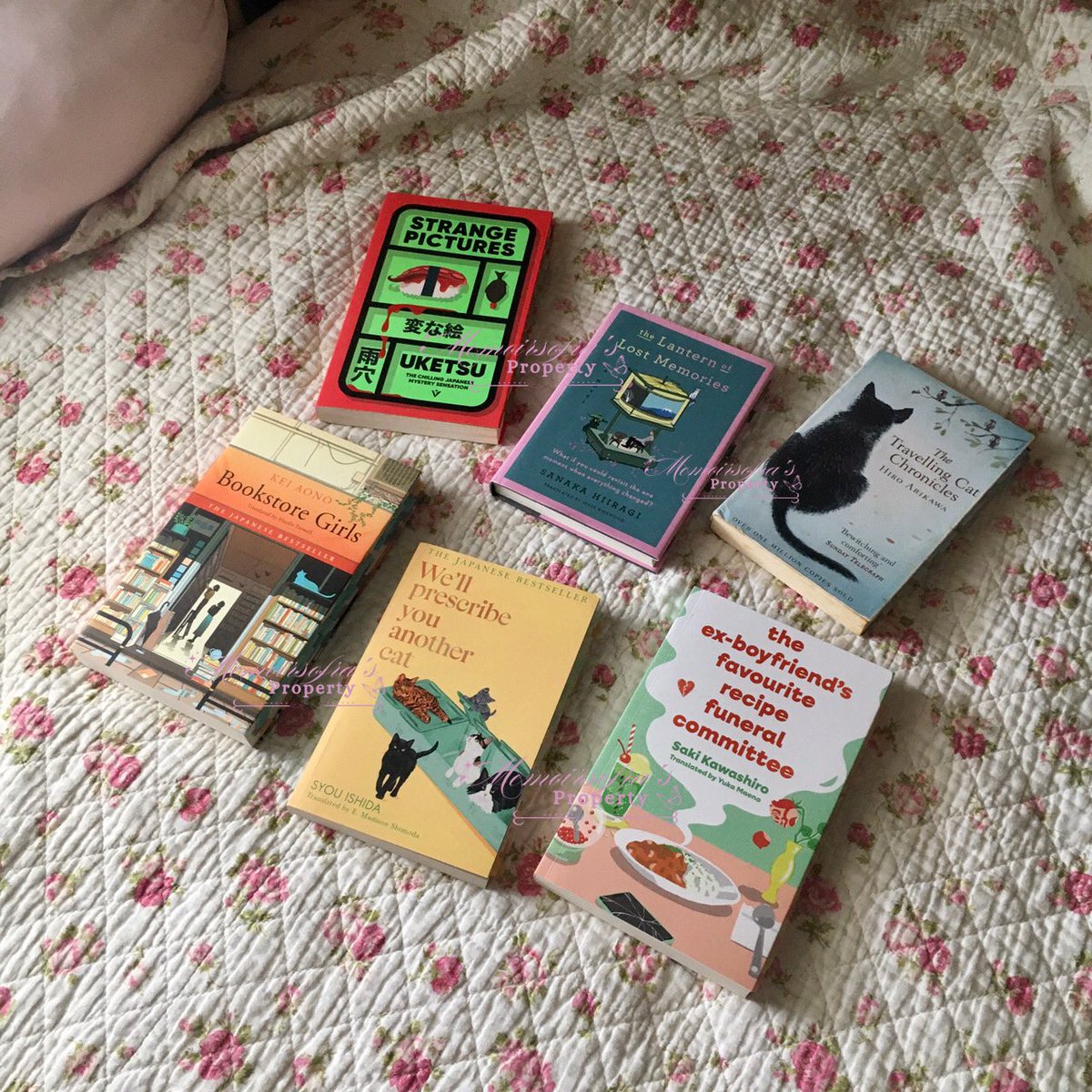 memoirsofra's tweet image. My 2025 favourite books 📚 

In no particular order:
— Strange Pictures
— The Lantern of Lost Memories 
— The Travelling Cat Chronicles 
— Bookstore Girls
— We’ll Prescribe You Another Cat 
— The Ex-Boyfriend’s Favourite Recipe Funeral Committee
