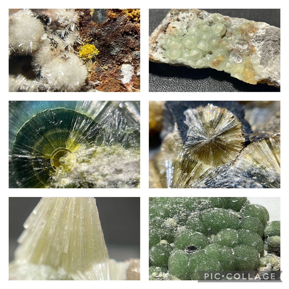 stellar_chaton's tweet image. 新年明けましておめでとうごじいます🎍
旧年中は大変お世話になりました。
本年もどうぞよろしくお願いいたします！