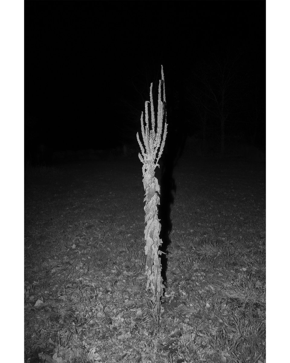 Alexander (@juststrangefeel) on Twitter photo 