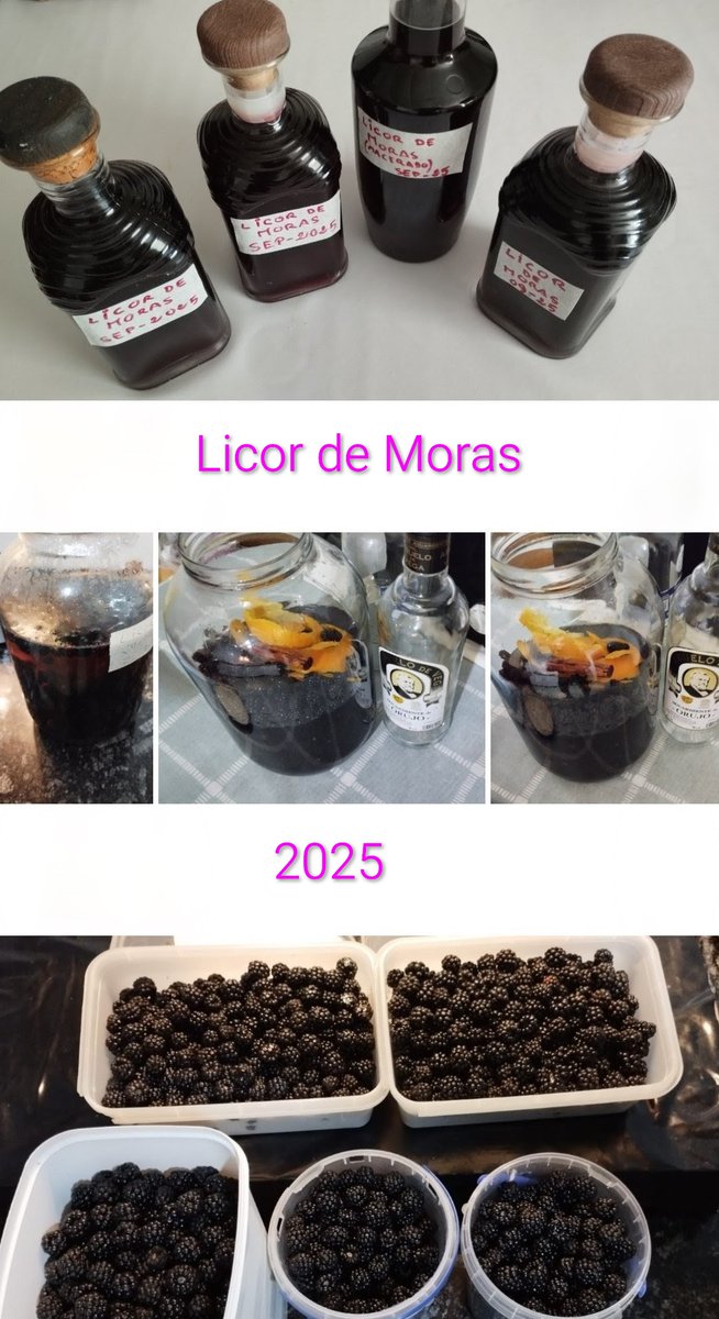 Manquilefs tweet media