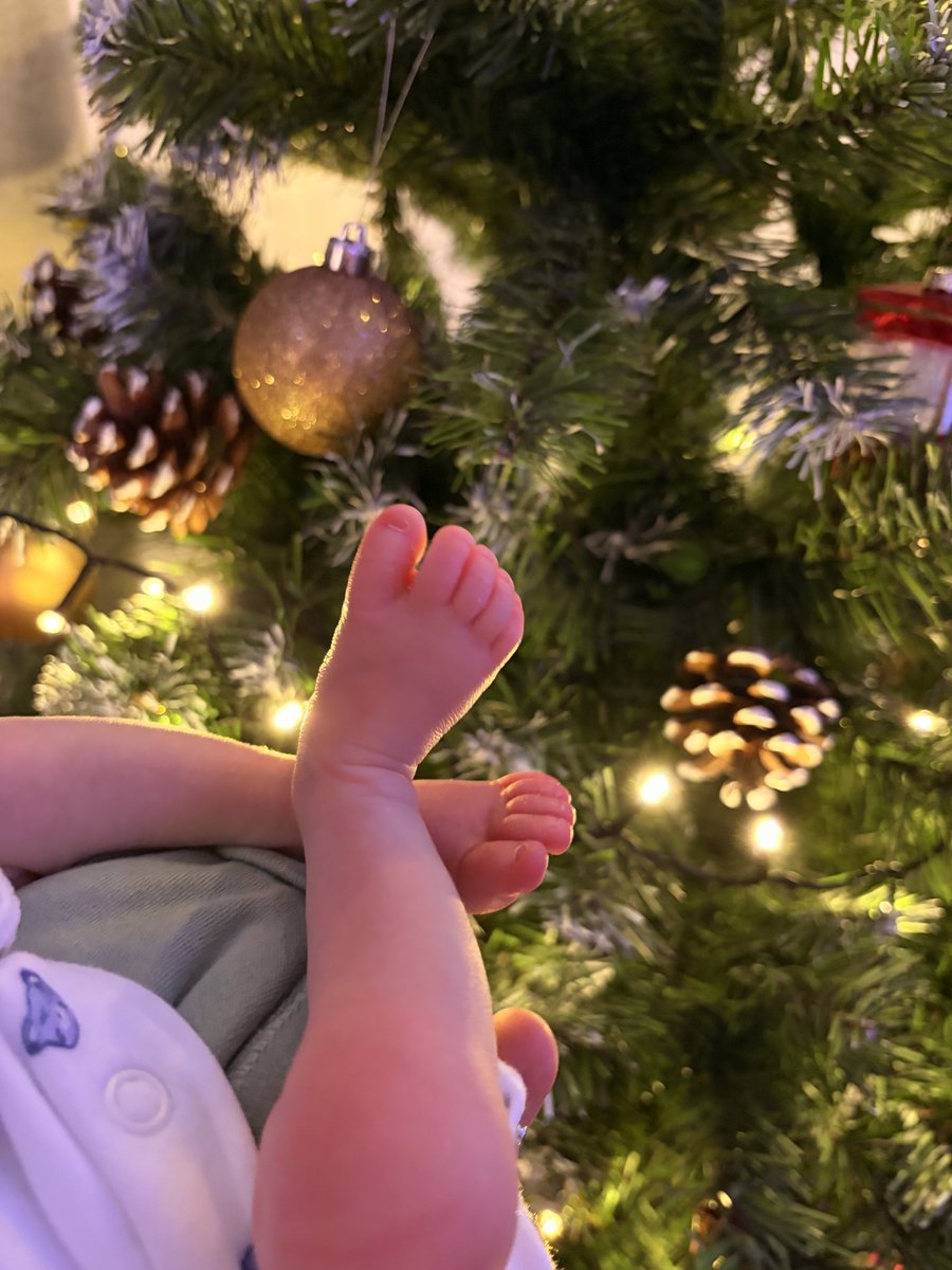 Shakey_tv tweet media