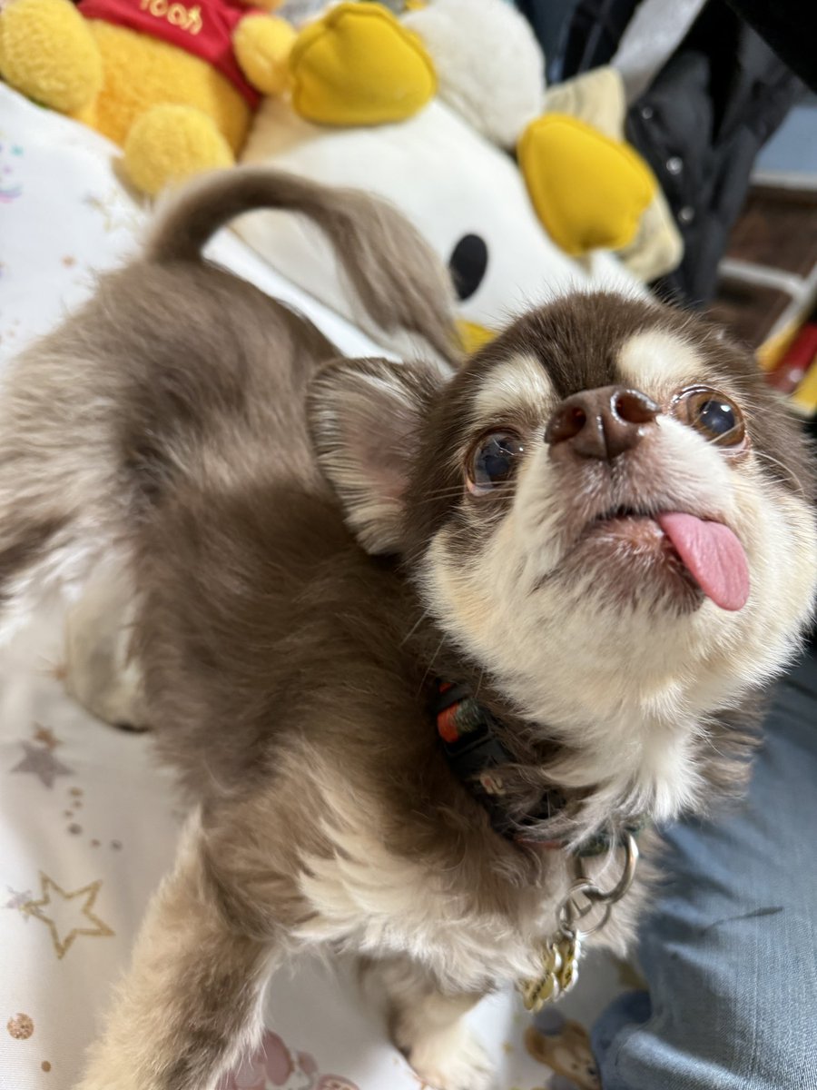 天月-あまつき- (@_amatsuki_) / Posts / X