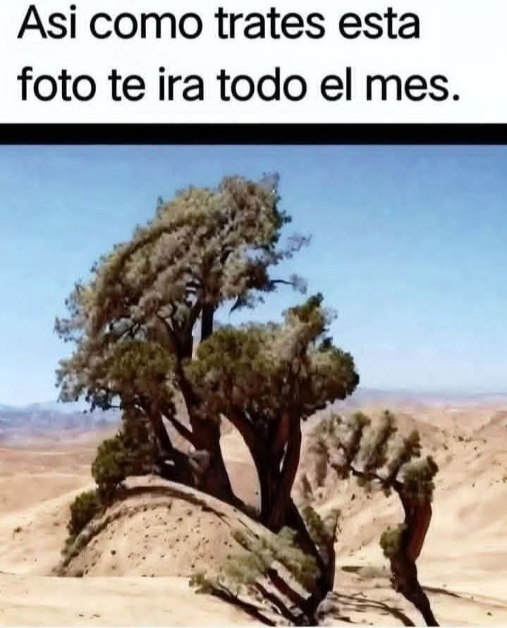 Asi como trates esta foto te irá todo el mes