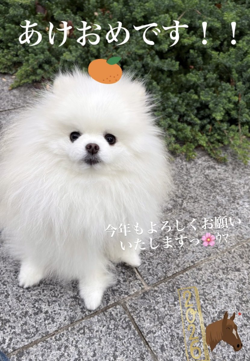 仙石みなみ☽ (@373_sengoku) / Posts / X