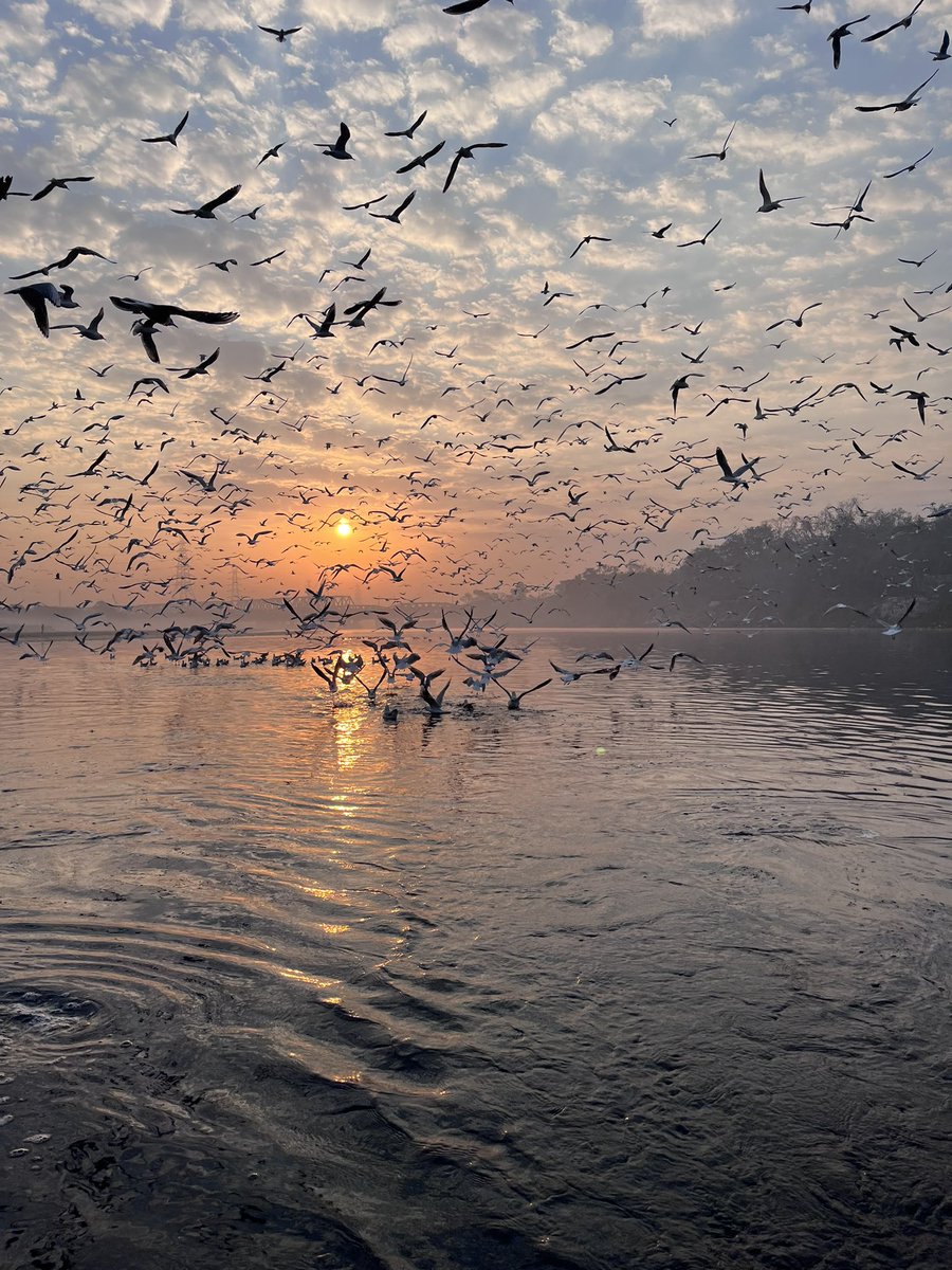 "إلى اللهِ فِي ضيقِ الحيَاةِ وعُسْرِها
ومَنْ غَيرُ ربِّي فِي المُلِمَّاتِ فارِجُ؟!"