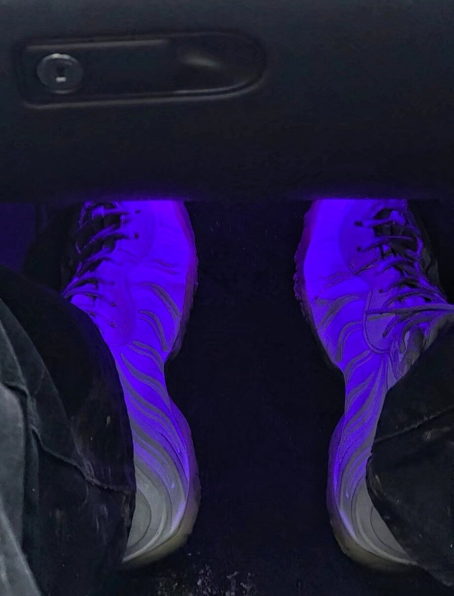 武爷Dom🏀 tweet media