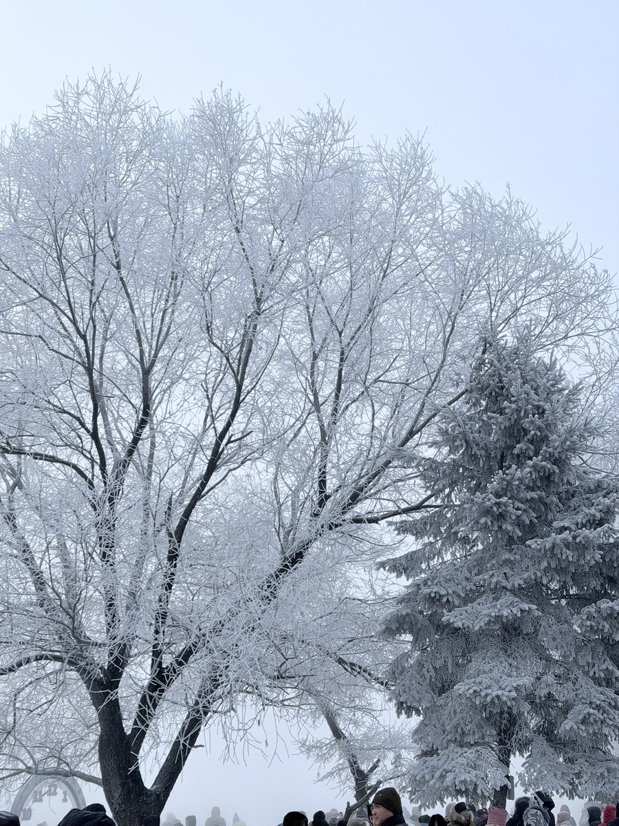 吹水不打草稿X tweet media