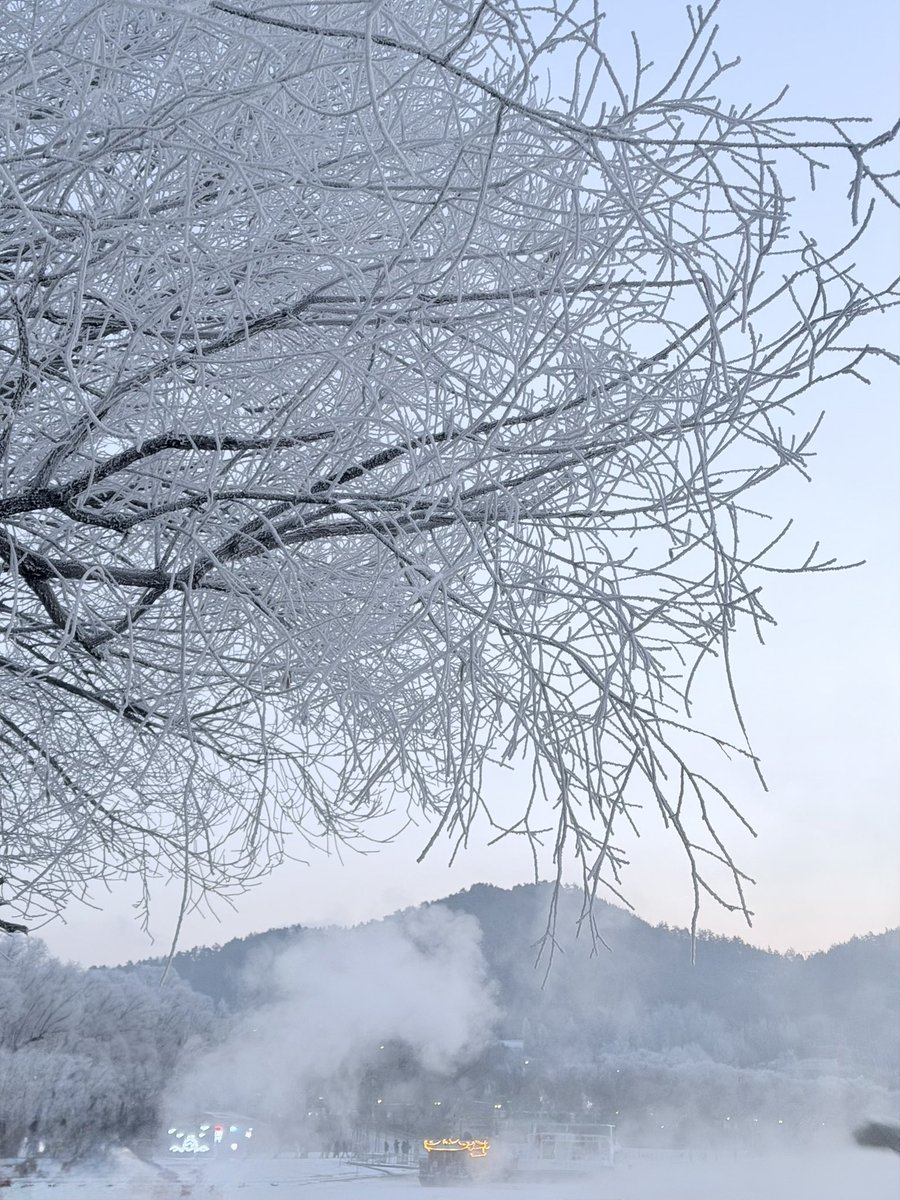 吹水不打草稿X tweet media