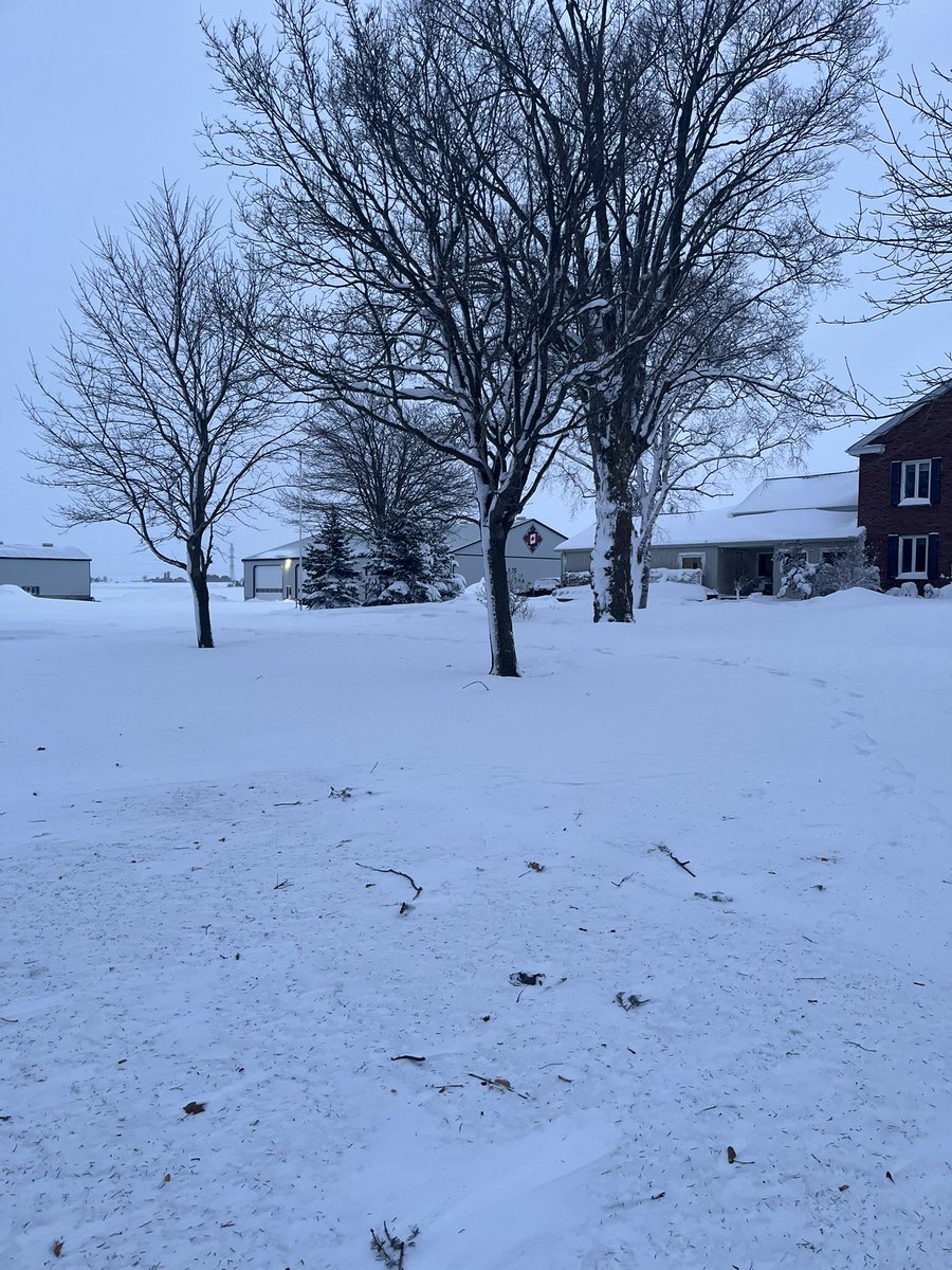 Snowy start to 2026. -11C