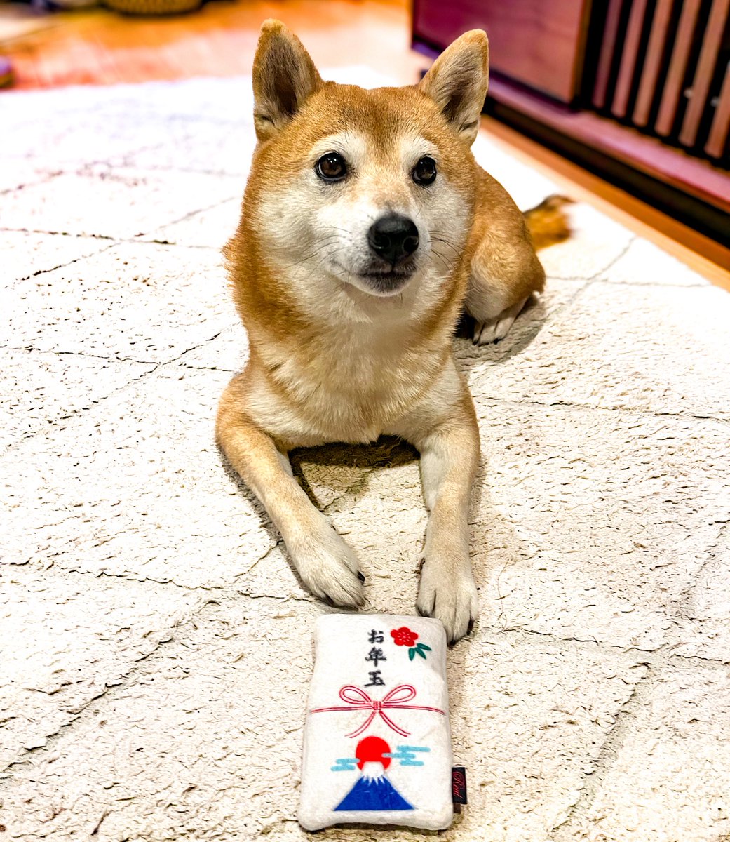 おとちゃん とりたべローカルインフルエンサー」のおたねちゃんに会いに、江府町に