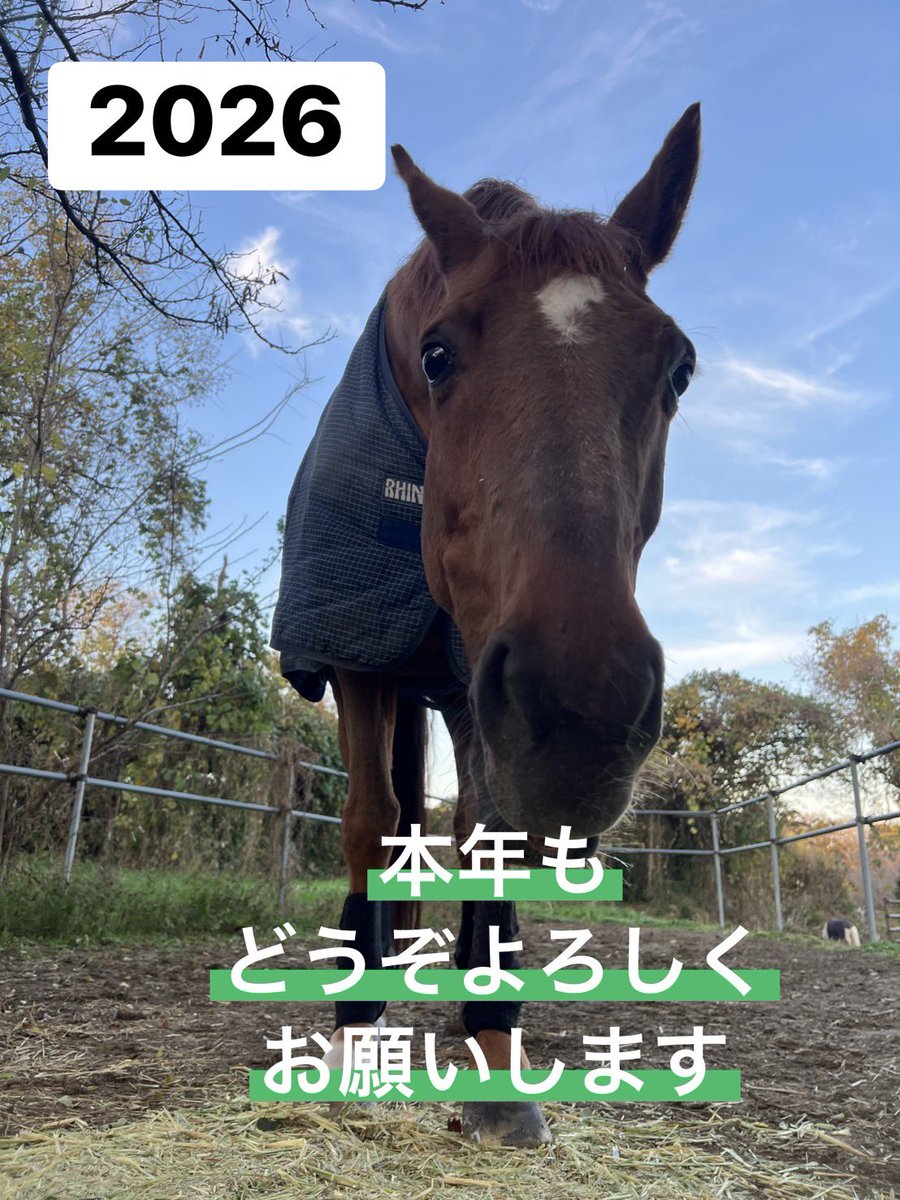 maki (@maki77267125) / Posts / X