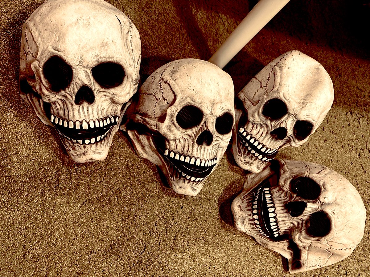 Happy New Year!

Keep an eye on the "Dokuro Cult" in 2026.