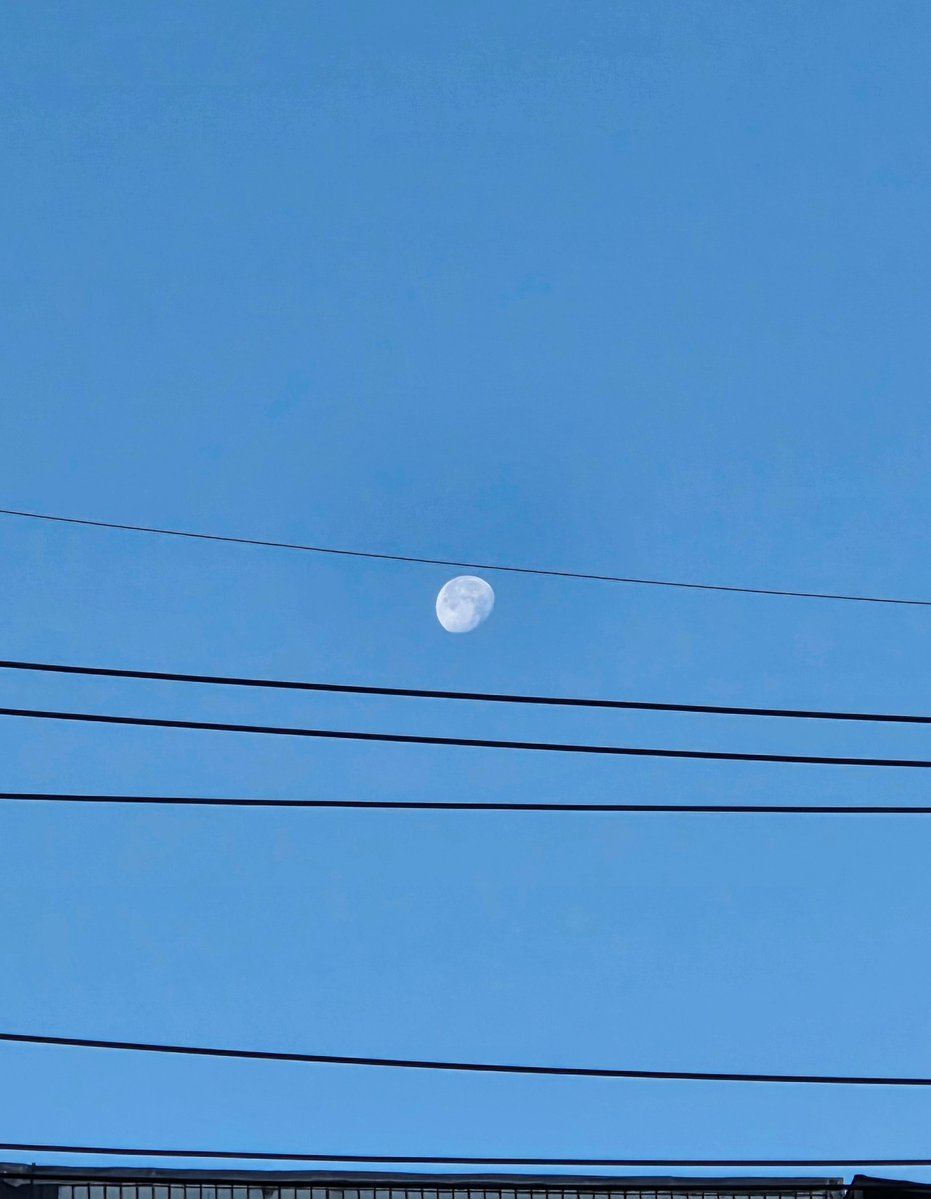 coldsun11's tweet image. 그래. 너도 혼자인 시간이 좋아?