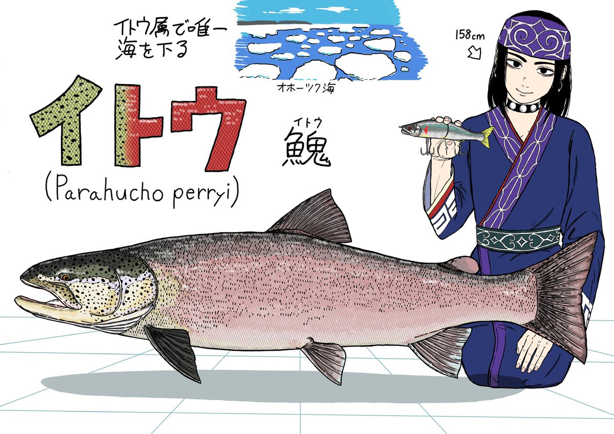 日本三大怪魚が揃いましたね〜 三種類とも気に入ってます！
