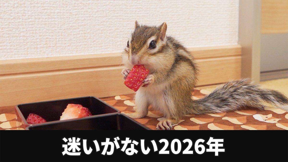 シマリストきむら (@momosansan3) / Posts / X