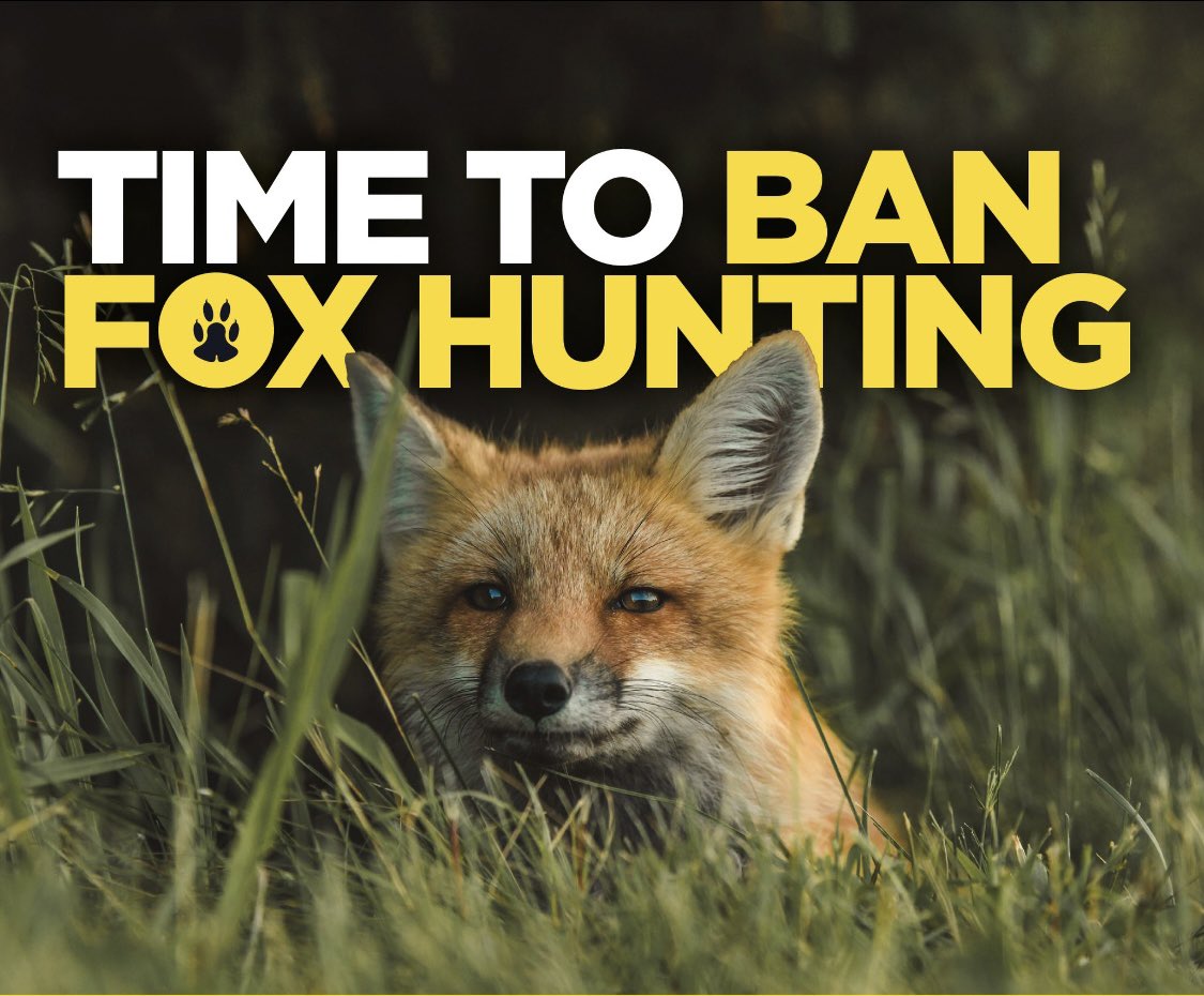 Máire 🇵🇸 tweet media