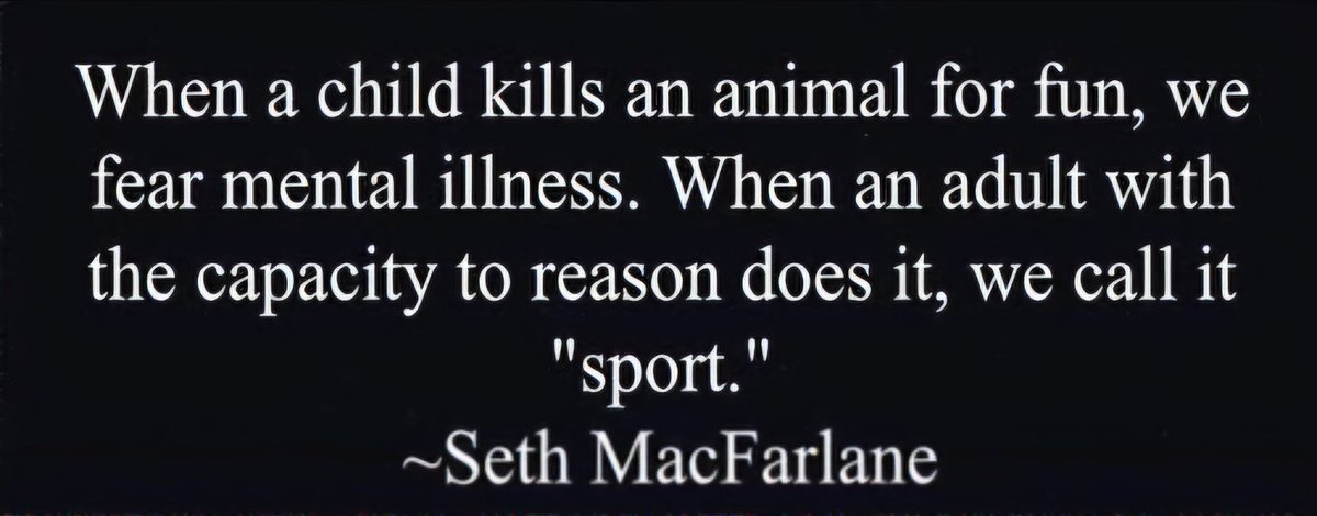 Máire 🇵🇸 tweet media