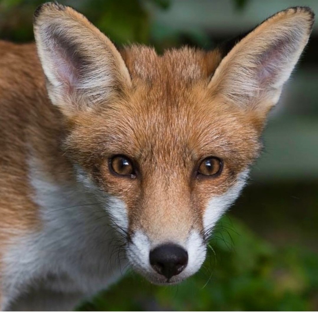 Máire 🇵🇸 tweet media