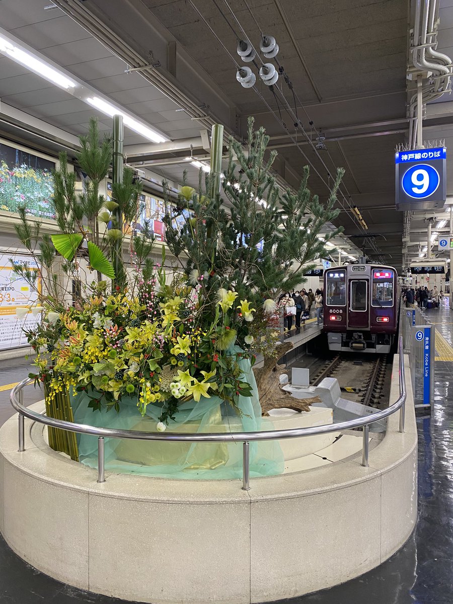 わさび (@Wg1oE) / Posts / X