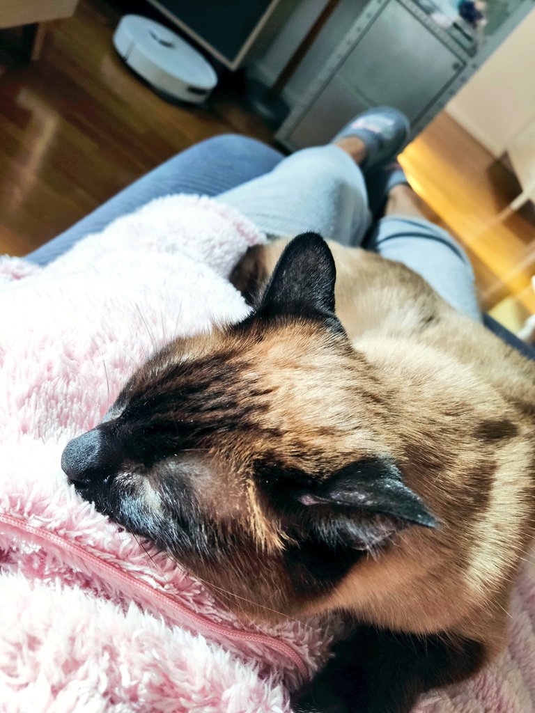 La Karen limpiando en modo "silencioso", que mi bebé está dormidito ... 🤫🤫🤫