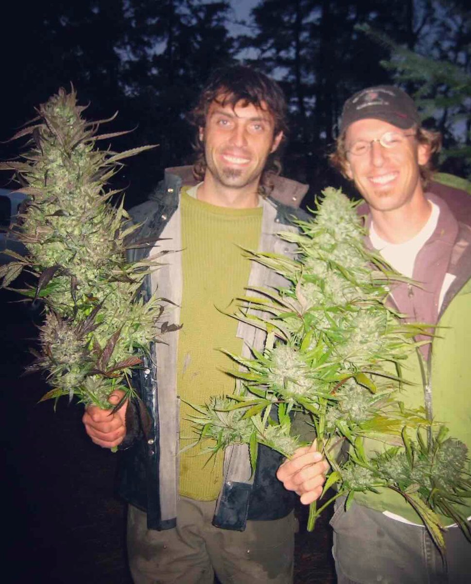 goldysflower.com/mj5