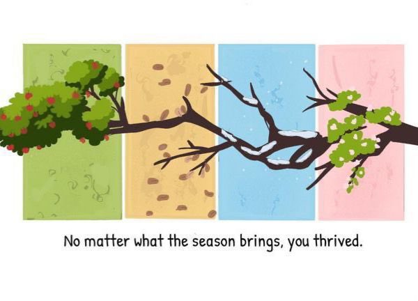 Agniwesh Thakur tweet media