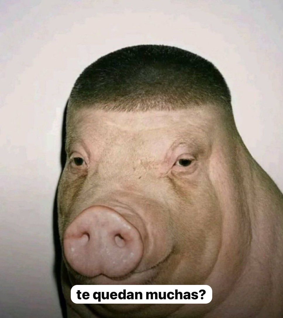 CaadeOKC's tweet image. el gym en enero