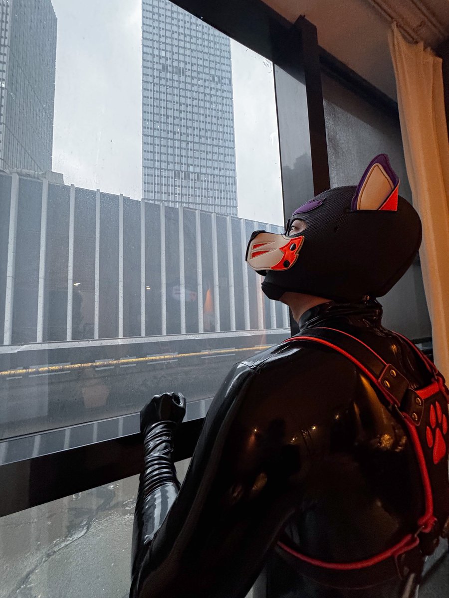 长沙天气好差，都不能出去玩了..

📷：<a href="/jo05067/">Rubber_JO</a>
胸带：<a href="/Gibbon_Black/">GibbonBlack_CN</a>