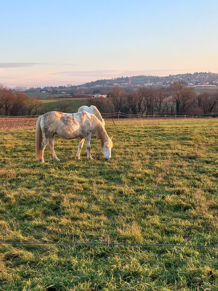 ナツ🌻 tweet media