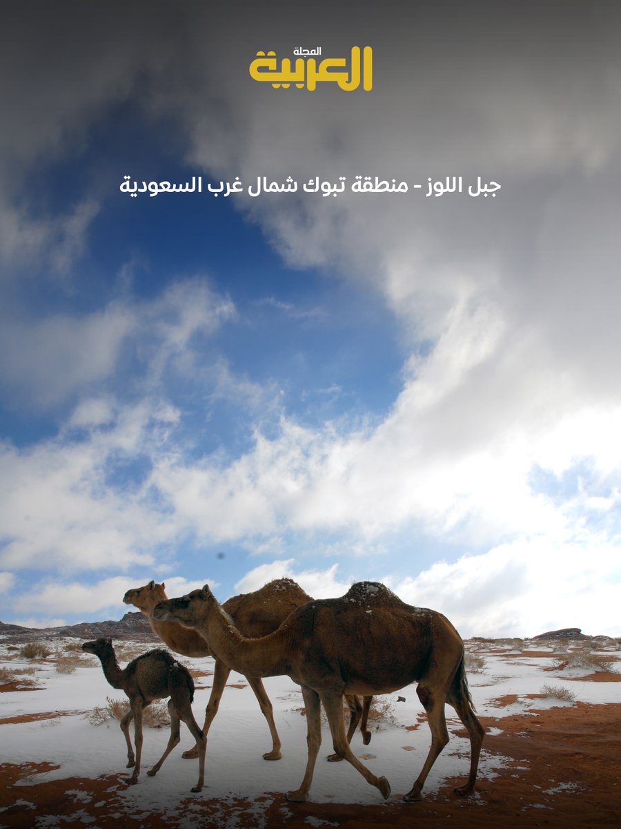 المجلة العربية tweet media