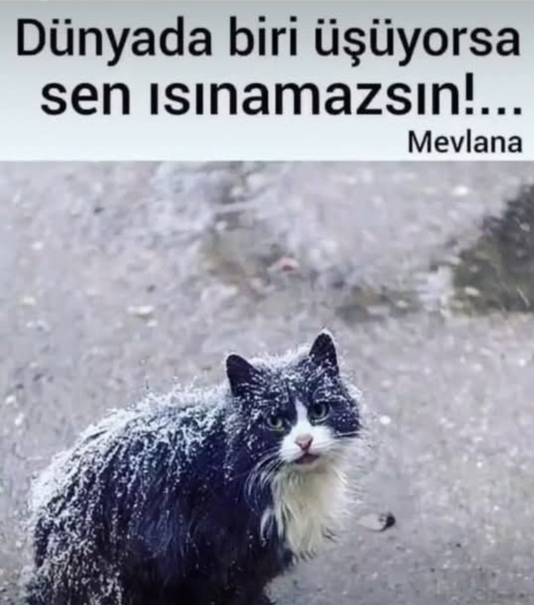 🔴Kışın apartmanlarınızın kapısını açın.
Ki bu niye benim başıma geliyor demeyin.