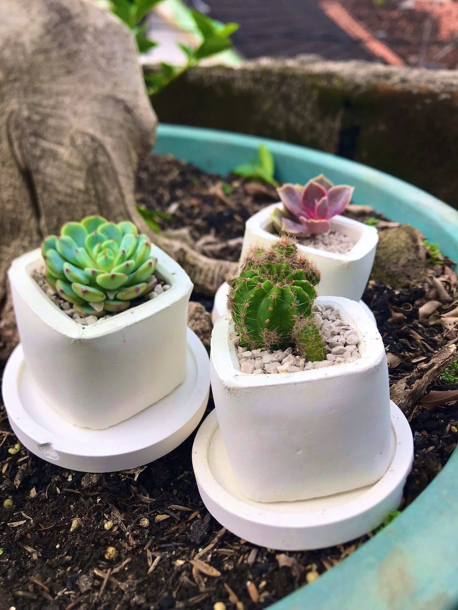 ammorph___'s tweet image. Maka mekarlah segala yang sakit
Maka tumbuhlah segala yang obati
🌱🪴🌷