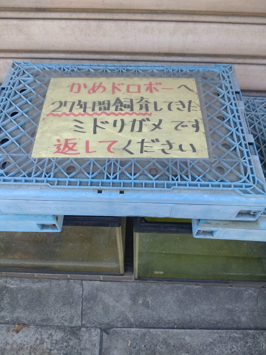 bang_ipp's tweet photo. 今日イチゆるせん🔥と思った光景
かめをかえしなさい🐢 https://t.co/2GZyNi5ah3
