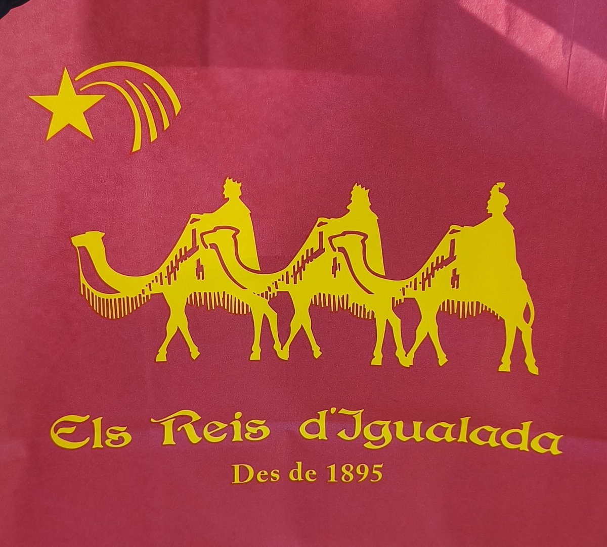 iglezfe's tweet image. Avui, com cada any, hem anat a entregar la carta a SSMM els Reis Mags d'Orient a #Igualada. 
En el magnífic @AteneuIgualadi on desenes de patges fan les delícies dels nens.
@patgefaruk @reisdorient