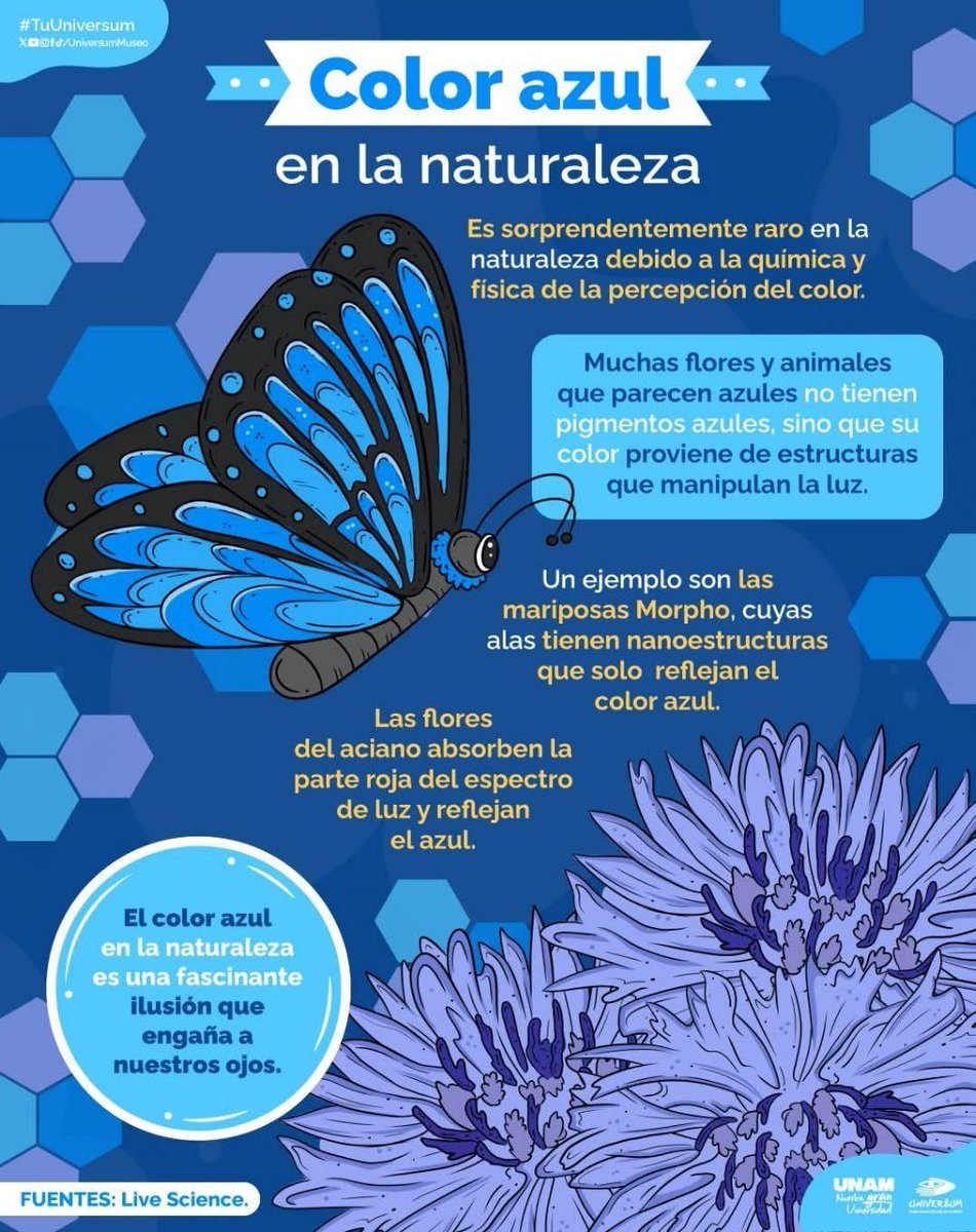 solotips (@solotips) on Twitter photo 