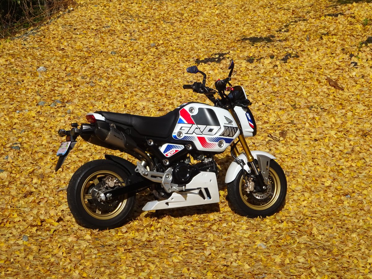 くろうまっく@よく訓練されたヘタクソ tweet media