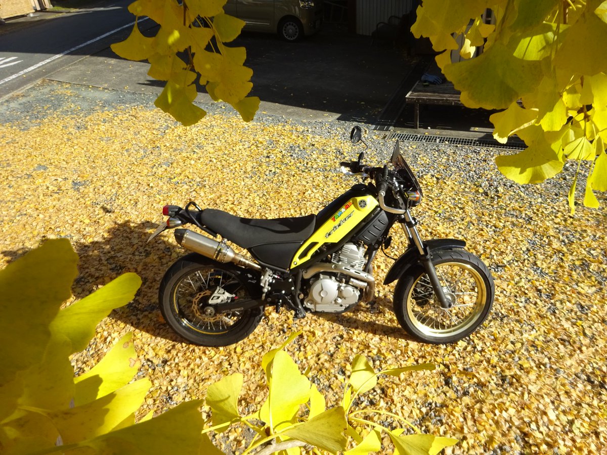 くろうまっく@よく訓練されたヘタクソ tweet media