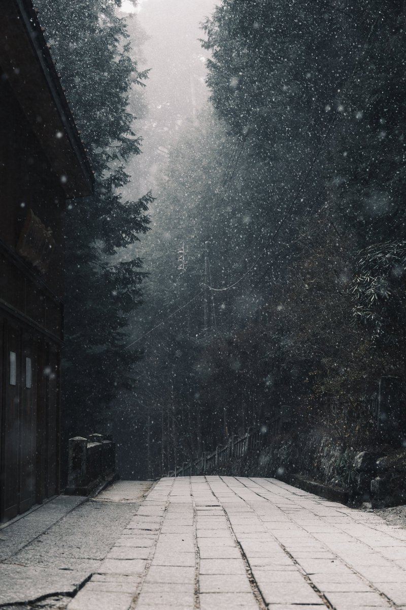 saksaksankaku55's tweet image. ようこそ2026