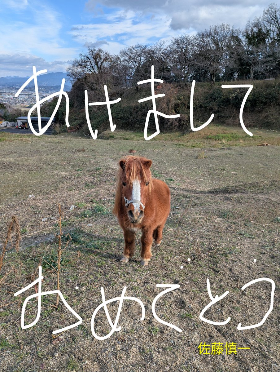 2026年もよろしくお願いします！