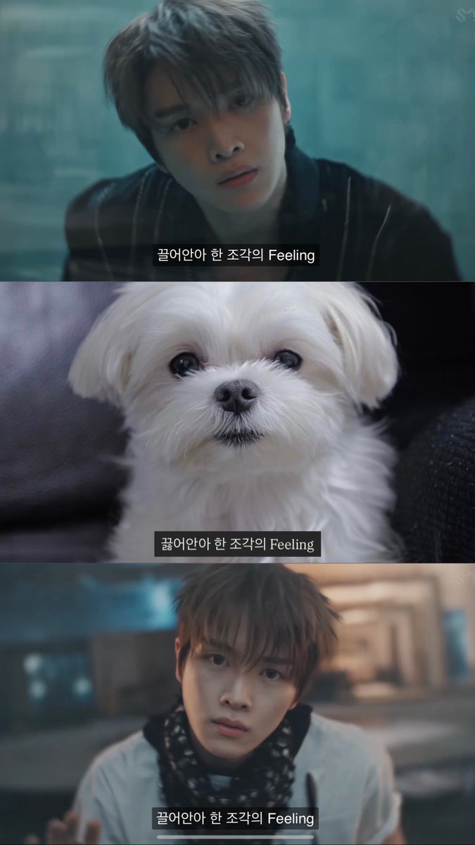 끌어안아 한 조각의 Feeling 
by 정가네