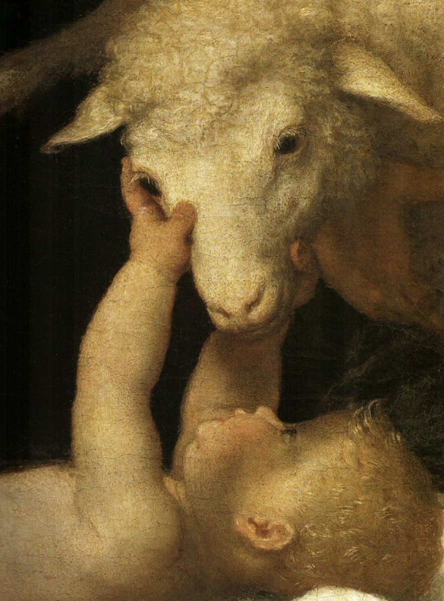 UniCatolicos_es's tweet image. “Es cierto que el mundo esta colmado de peligros y que hay en él sitios oscuros, pero hay también cosas hermosas y aunque en todas partes el amor está unido hoy a la aflicción, no por eso es menos poderoso”.

— J.R.R. Tolkien