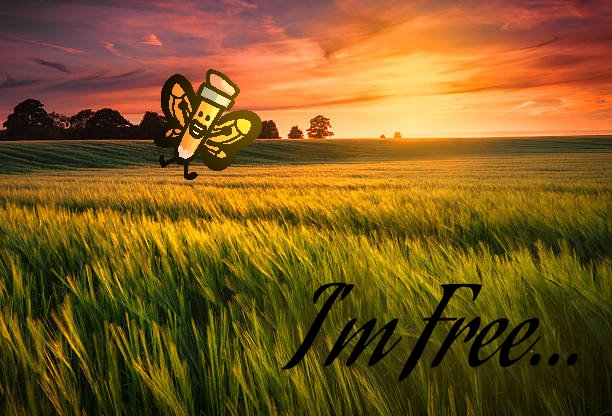 .•★*` Chilli300 `*★•. tweet media