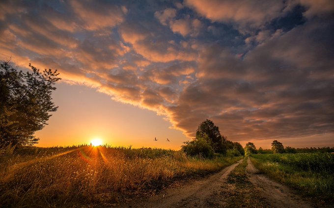 #FelizAnoNuevo2026 , buen dia Xs, primer día del año. Que pasen excelente jueves