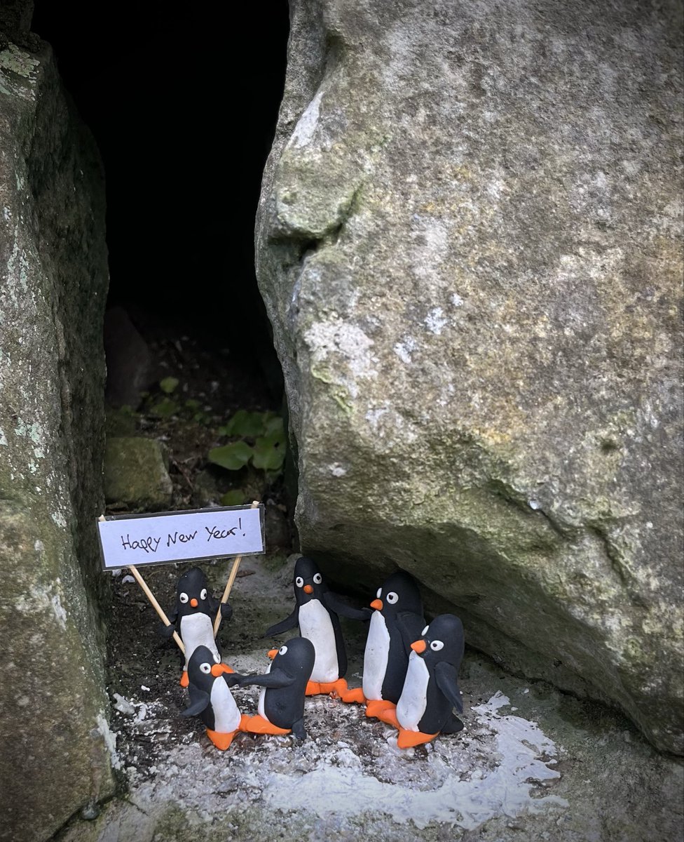 Happy new year to all, especially the anonymous Glasgow artist cheering up everyone’s walk along the River Kelvin 🪄