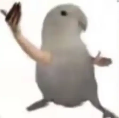 新年快乐！大家必发财