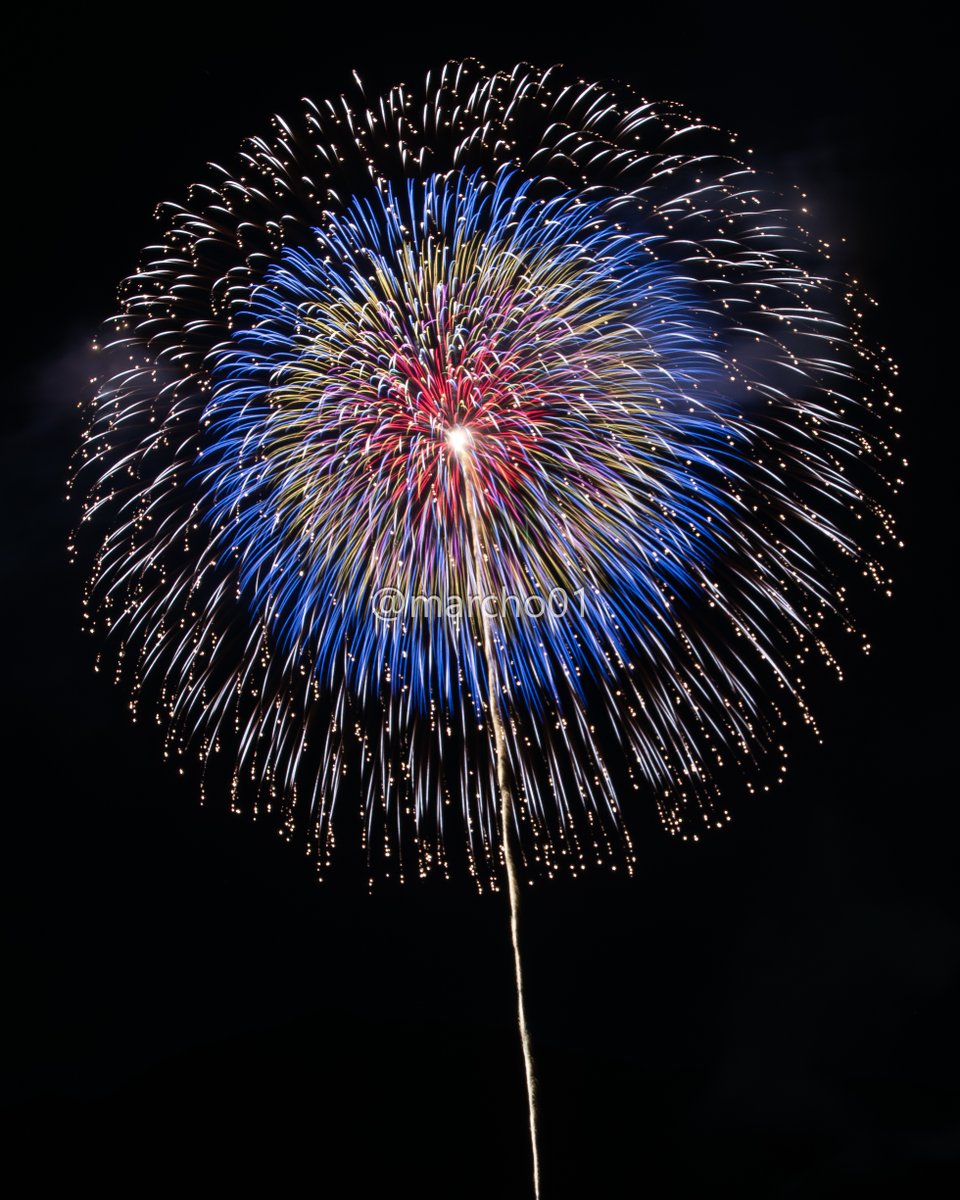 まーちょ tweet media