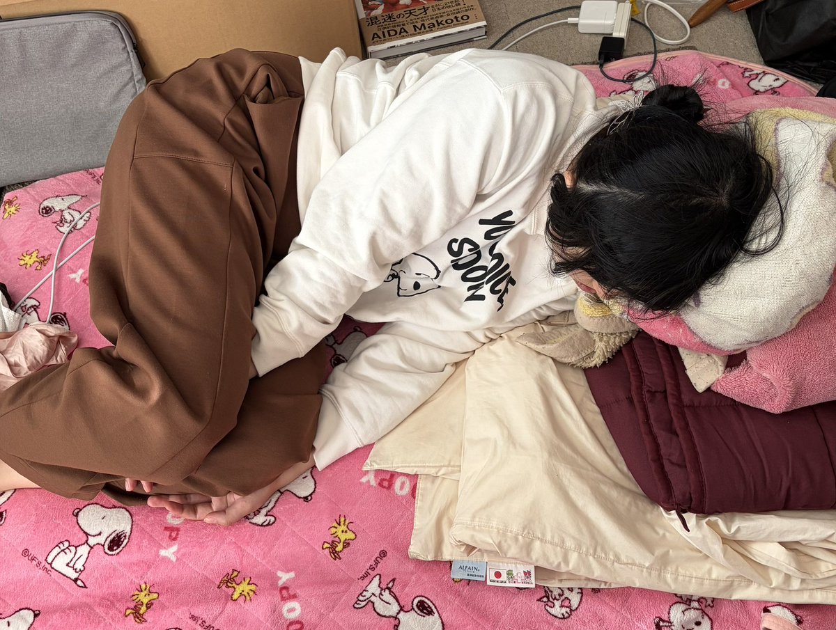 あけましておめでとうございます
正月初昼寝です

せっかくなので
いい初夢を見たいですね

※ちなみにまだリビングの床に
追いやられています

＃藝祭 ＃藝祭2025
＃スリーピングストライキ