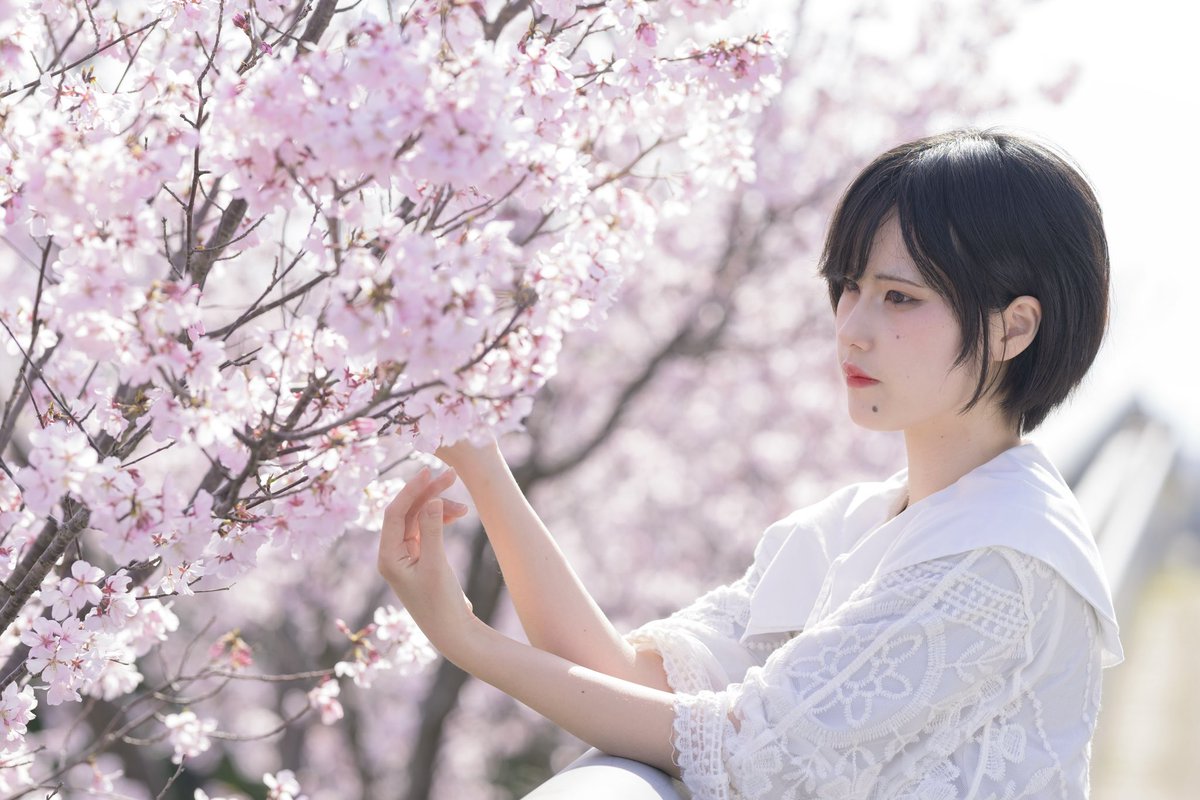 Chiharu (@chii__spring__) / Posts / X