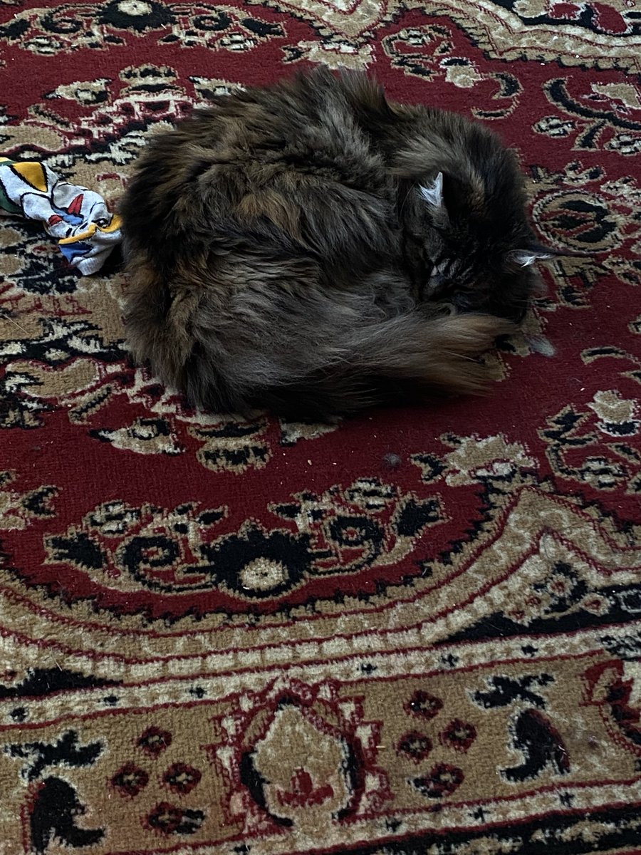 grimumu's tweet image. 